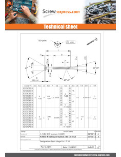 Screw Truss 7X50 Thread Length: 38 T30 Stainless Steel A2... 2