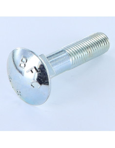 Carriage Bolt M16X60 Class 8.8 Zinc Plated