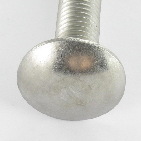 1 x Carriage Bolts Stainless Steel A4 M10X160 Partial Thread