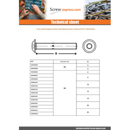 1 x Machine Screw Hex Socket Pan Head Cap Flange M10X25 Class 10.9 Zinc Plated
