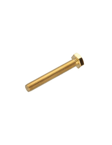 1 x Machine Screw Brass Hexagonal Head M8X70