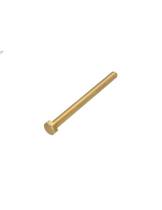 Machine Screw Brass Hexagonal Head M8X100