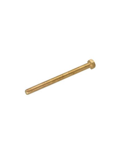 1 x Machine Screw Brass Hexagonal Head M8X100