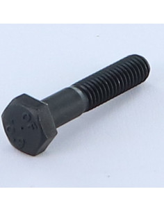 Bolt Partial Thread Hexagonal Head M6X30 Class 10.9 Steel
