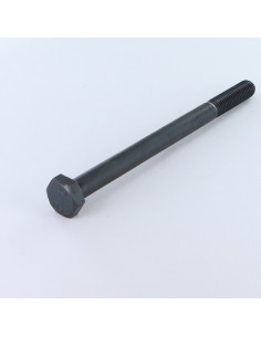 Bolt Partial Thread Hexagonal Head M20X120 Class 10.9 Steel