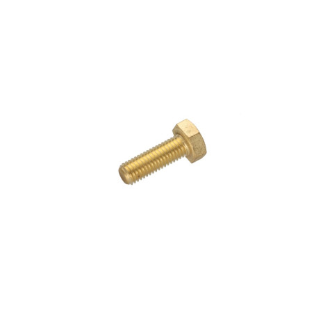 1 x Machine Screw Brass Hexagonal Head M10X45