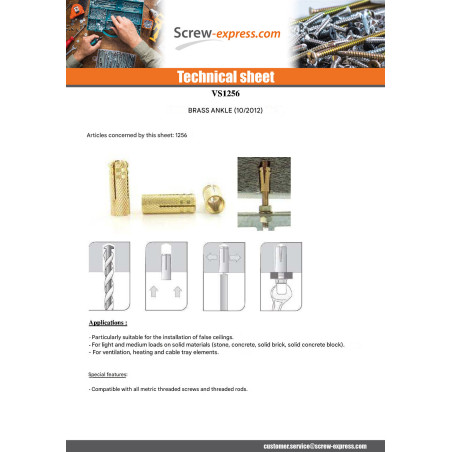 1 x Plug Brass 10X28 M8