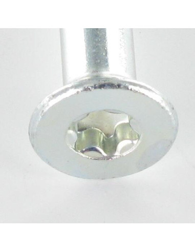 1 x Plug MULTI EXPANSION 10X85 + Screw 7X90