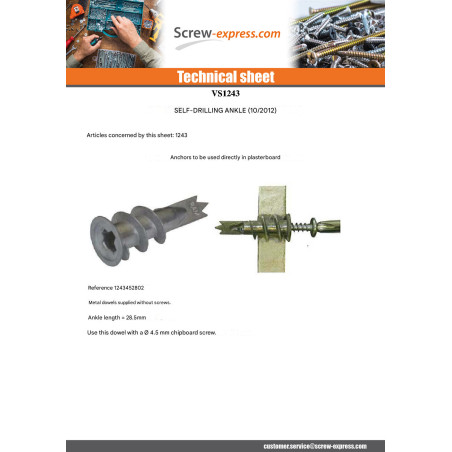 1 x Metal Anchor Self Drilling RAWLPLUG 13X31 With Screw