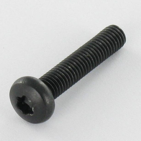1 x Machine Screw wide domed head Stainless Steel A2 M5X25 Black T20