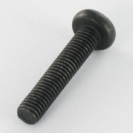 1 x Machine Screw wide domed head Stainless Steel A2 M5X25 Black T20