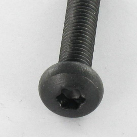1 x Machine Screw wide domed head Stainless Steel A2 M5X25 Black T20