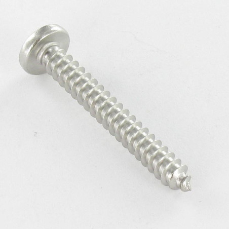 1 x Thread Rolling Screw wide domed head Pozi 4.8X60 Stainless Steel A4