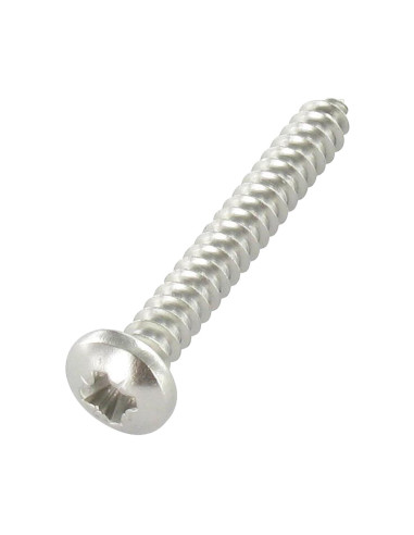 1 x Thread Rolling Screw wide domed head Pozi...