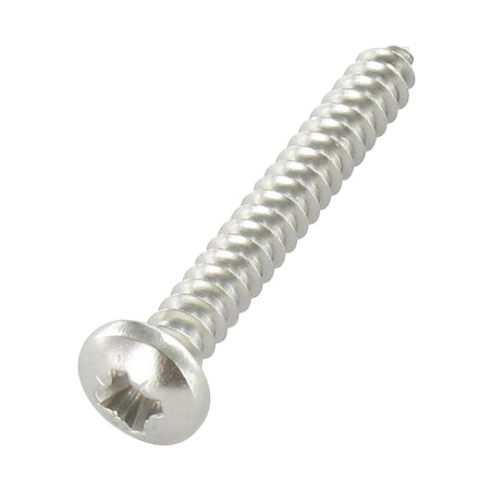 1 x Thread Rolling Screw wide domed head Pozi 4.2X16 Stainless Steel A4
