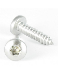 Screw Thread Rolling Screw Large Pan Head T25 4.8X9.5...