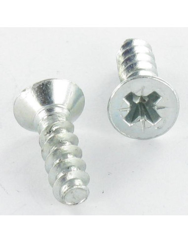 1 x Screw For Plastic Countersunk Head Pozi PZ2...