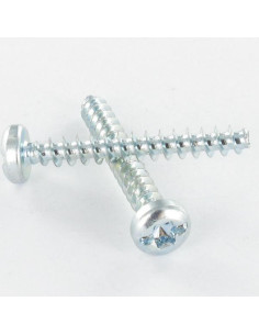 Screw For Plastic Pan Head T25 /FEND 5X12 Thread 30 Zinc...