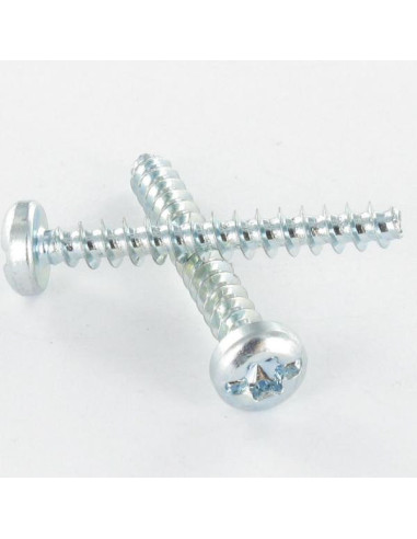 1 x Screw Plastic Pan Head T25 /FEND 5X12...