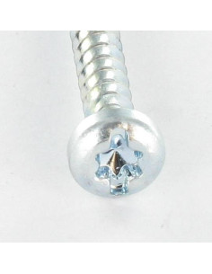 Screw For Plastic Pan Head T25 /FEND 5X12 Thread 30 Zinc... 2