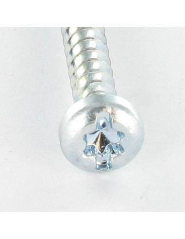 1 x Screw For Plastic Pan Head T25 /FEND 5X12...