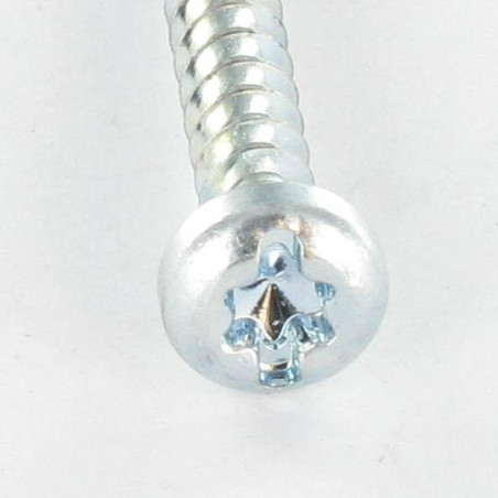 1 x Screw Plastic Pan Head T25 /FEND 5X12 Thread 30 Zinc Plated