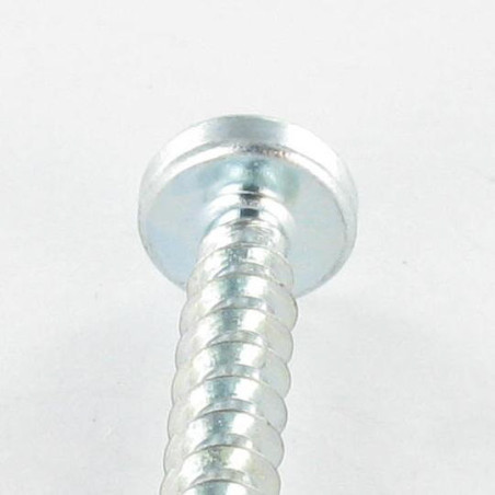 1 x Screw For Plastic Pan Head T25 /FEND 5X12 Thread 30 Zinc Plated