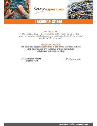 1 x Piton to Eye Threaded M6X60 With Nut...