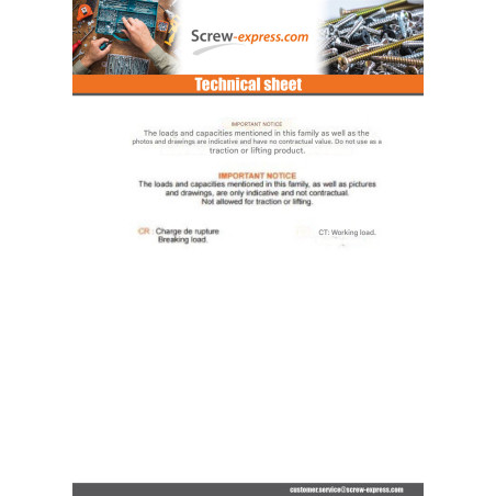 1 x Piton to Eye Threaded M8X60 With Nut Stainless Steel A4