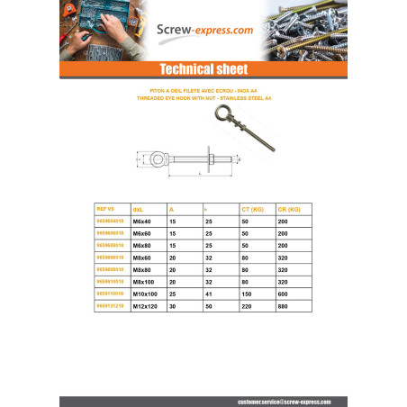 1 x Piton to Eye Threaded M8X100 With Nut Stainless Steel A4