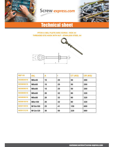 1 x Piton to Eye Threaded M10X100 With Nut...