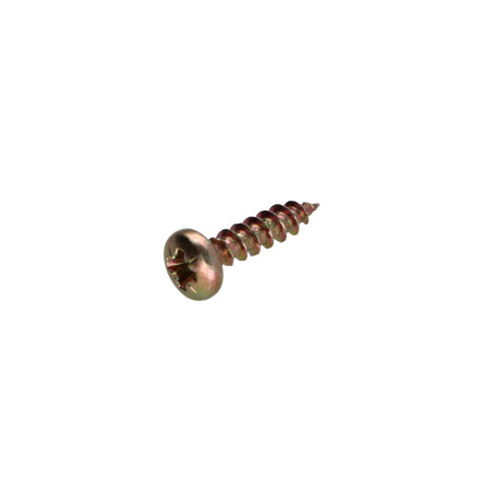 1 x Chipboard Screw Round Head Pozi N°1 2.5X16 Yellow Zinc Head Diameter: MAX 4 micro screw