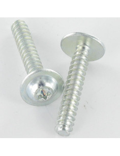 Screw For Plastic Large Round Head 5X30 T25 Zinc Plated