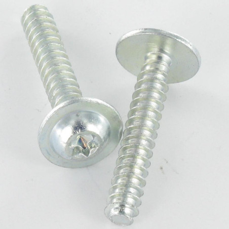 1 x Screw Plastic 20 Large Round Head 5X30 T25 Zinc Plated