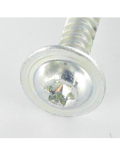 Screw For Plastic Large Round Head 5X30 T25 Zinc Plated 2