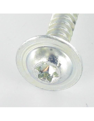 1 x Screw Plastic 20 Large Round Head 5X30 T25...