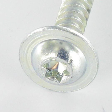 1 x Screw For Plastic Large Round Head 5X30 T25 Zinc Plated