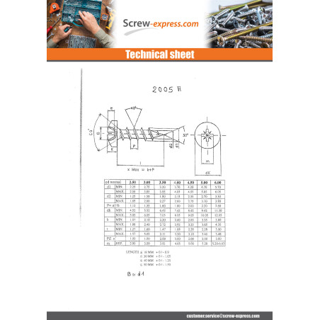 1 x Chipboard Screw Round Head Pozi N°2 4X20 Zinc Plated Rust