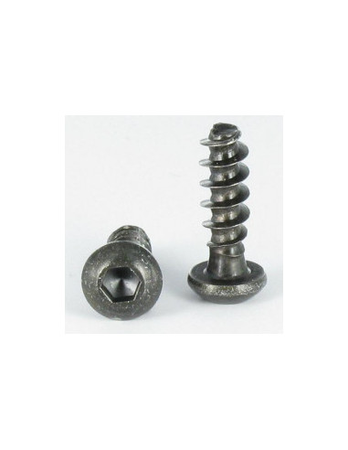 1 x Screw For Plastic Hex Socket Pan Head Cap...