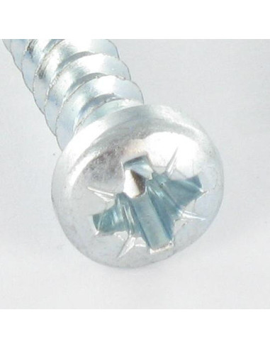 1 x Screw Plastic Pan Head Pozi 6X30 Thread 40...