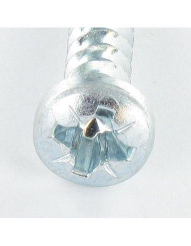 1 x Screw Plastic Pan Head Pozi 6X29 Thread 40...