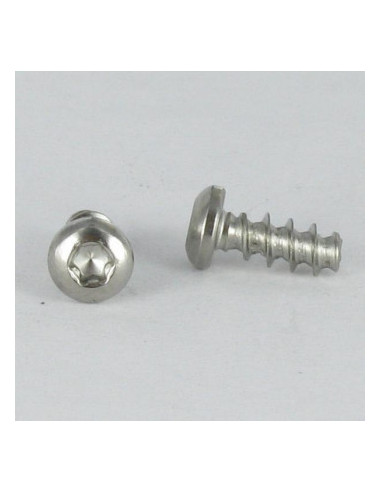 1 x Screw For Plastic wide domed head Slotted...