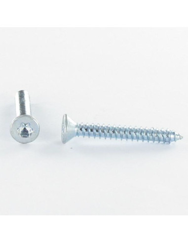 1 x Thread Rolling Screw Countersunk Head T15...