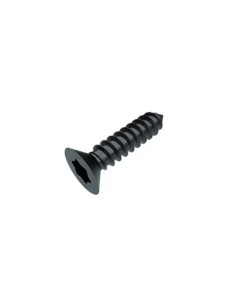 Thread Rolling Screw Countersunk Head T20 4.2X19 Black...