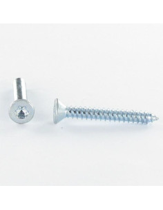 Thread Rolling Screw Countersunk Head T20 4.2X25 ZN