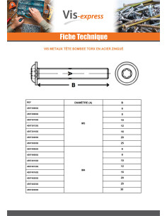 Machine Screw Pan Head Flange T10 M3X6 Class 10.9 Zinc... 2