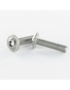 Machine Screw Pan Head Flange T30 M6X10 Class 10.9 Zinc...