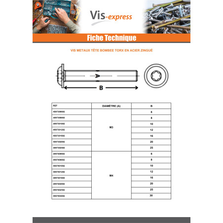 1 x Machine Screw Pan Head Flange T30 M6X40 Class 10.9 Zinc Plated