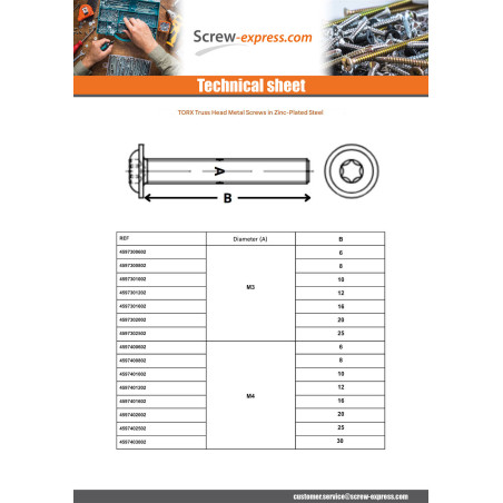 1 x Machine Screw Pan Head Flange T30 M6X6 Class 10.9 Zinc Plated