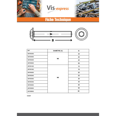 1 x Machine Screw Pan Head Flange T25 M5X25 Class 10.9 Zinc Plated